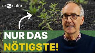 Dachbegrünung Pflicht? So erfüllst du den B-Plan zum kleinsten Preis