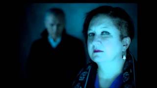 la vie electronique (promotional)