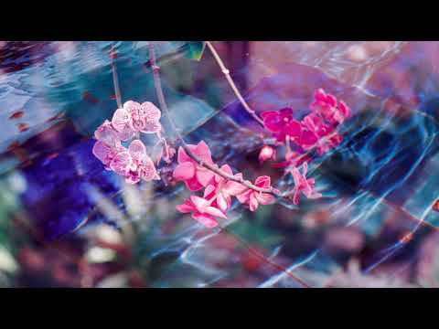 6arelyhuman - Whatitdo? (ft. 2504) (prod. guda)