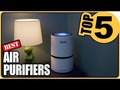 ⭐Best Large Room Air Purifiers Reviewed - 2022 Top 5