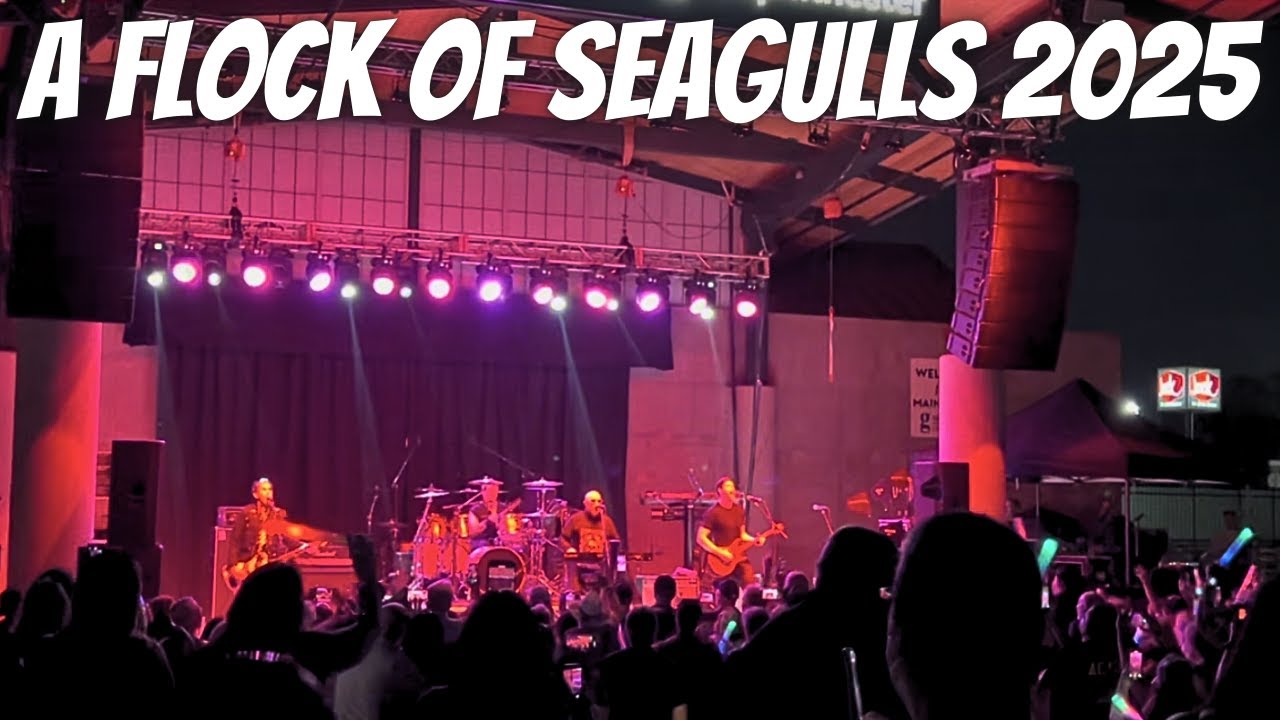 Promotional video thumbnail 6 for Mark Bouras