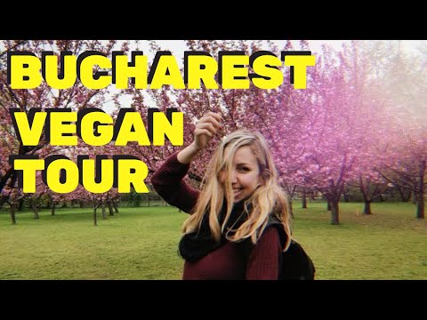 Helly Shares DELICIOUS VEGAN FOOD TOUR IN BUCHAREST!!! - Sublimmme \ Rawdia \ Coolinart