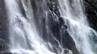 preview picture of video 'wayanad water fall'