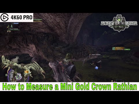 Monster Hunter: World - How to Measure a Mini Gold Crown Rathian Video