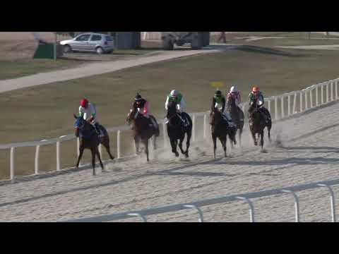 2018.11.18. 04. futam - GUBACSI DŰLŐ HENDIKEP (II.o.) (szintetikus pálya)