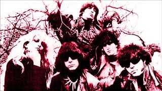 The Fuzztones - She's Wicked (Peel Session)