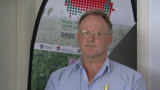 preview picture of video 'Mike Bell from QAAFI & University of Queensland'