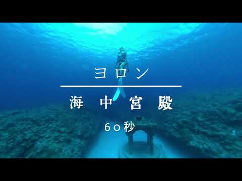 与論島の海中世界