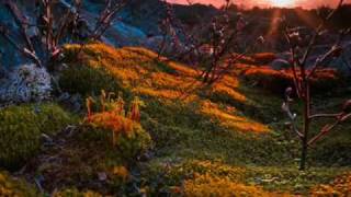 Coldplay - Reign of Love/ Postcards from Far Away