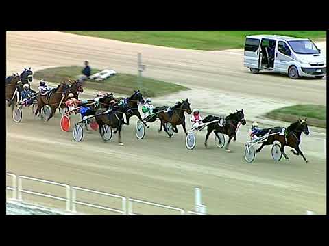 Trotto 22/01/2021 - 2ª corsa