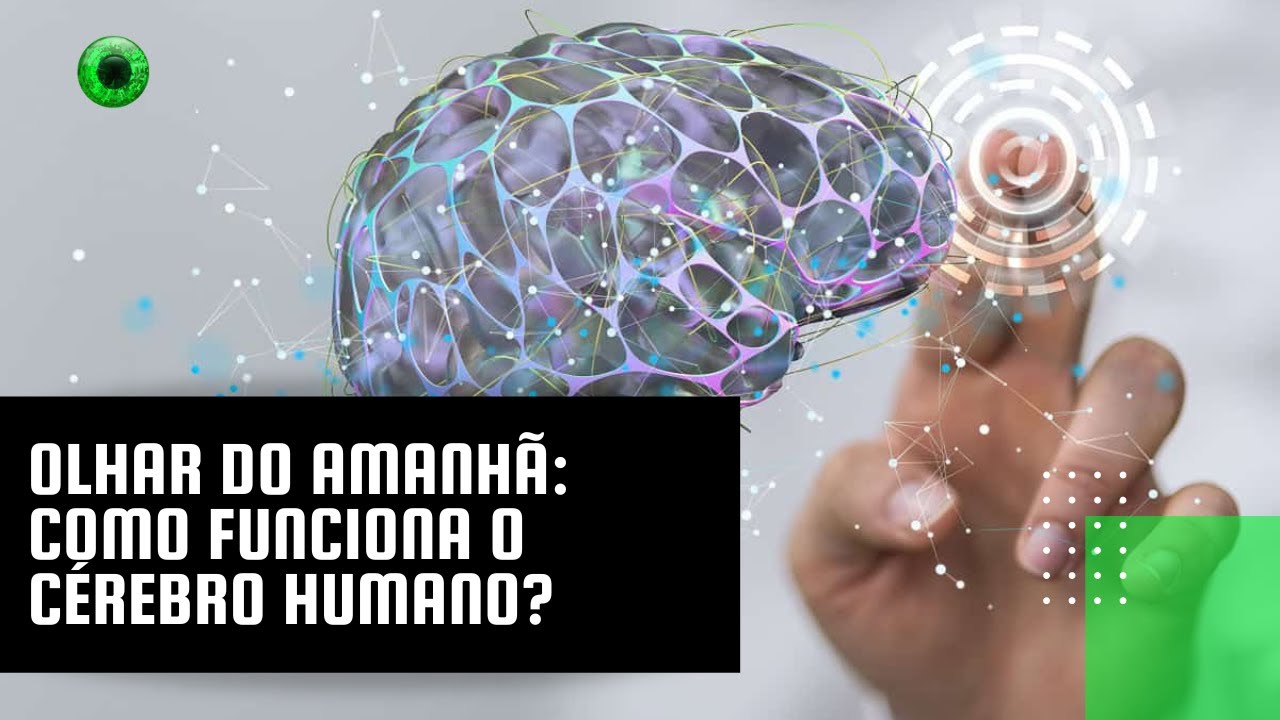 Olhar do Amanhã: como funciona o cérebro humano?
