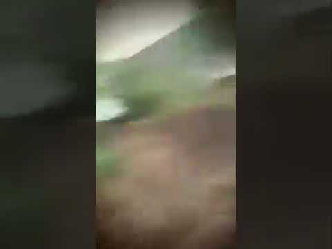 MESUM DI KEBUN SAWIT, DI GREBEK WARGA #viral #terciduk #kebunsawit