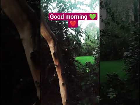 morning Natural view#fresh morning #Nature love#No filter #original sound❤️💚❤️💚❤️🧿🌎🥰💐🏡