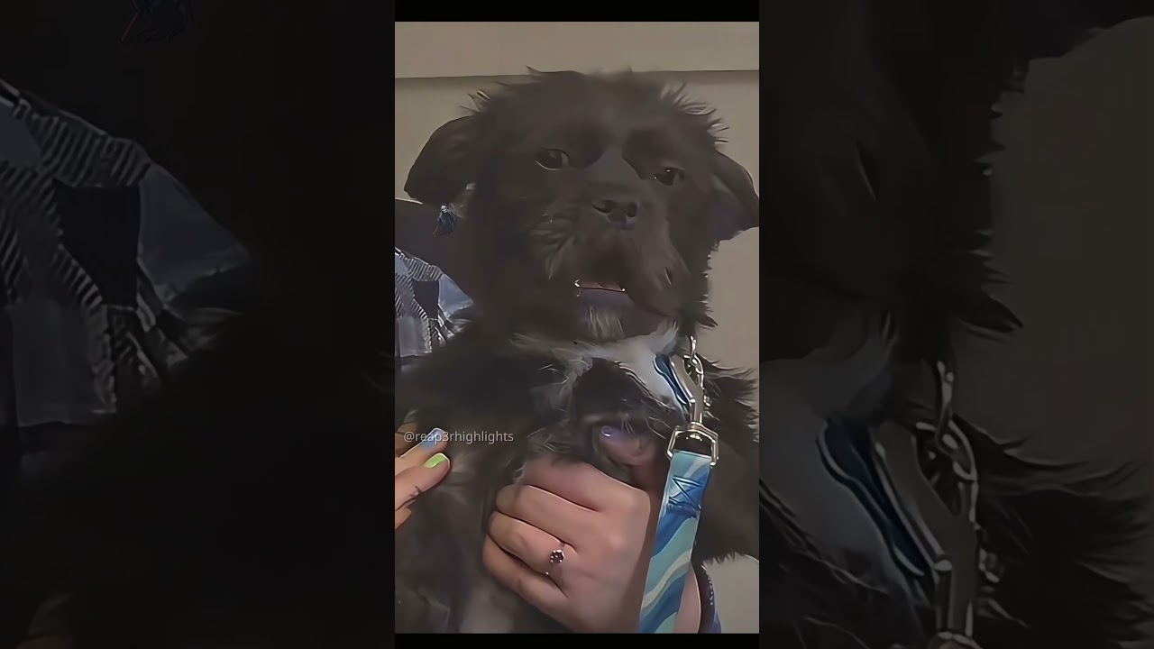 That was smooth ngl 🤣 #football