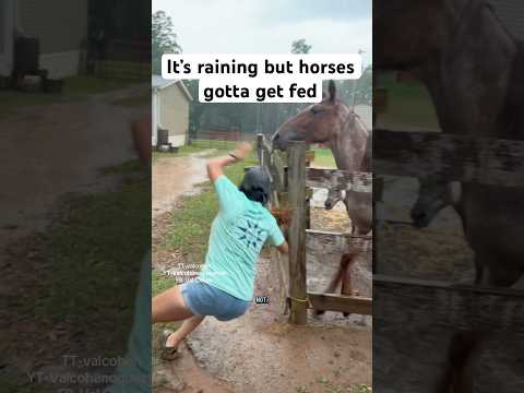 Have horses, it will be enjoyable all the time. #horse #horsegirl #equestrian #cowgirl #pony #ranch