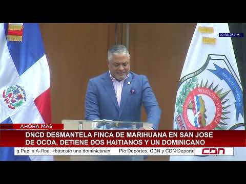 DNCD desmantela plantación de marihuana en San José de Ocoa