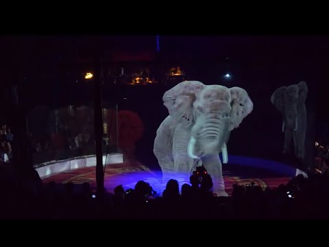 Sirkus in Oostenryk gebruik nou holifante (hologramme)