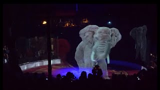 Des animaux holographiques dans un cirque en Allemagne