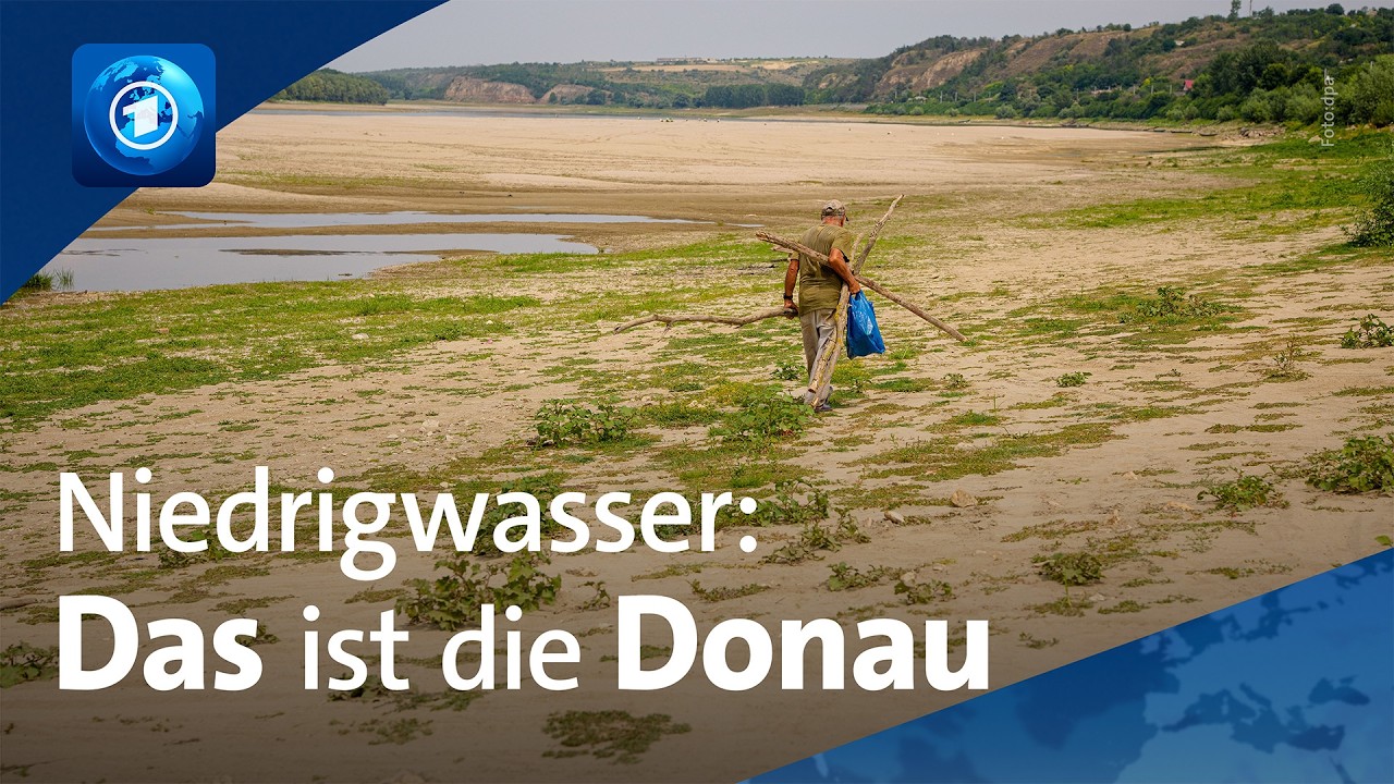 Donau-Niedrigwasser: Energiekrise und Millionenverluste