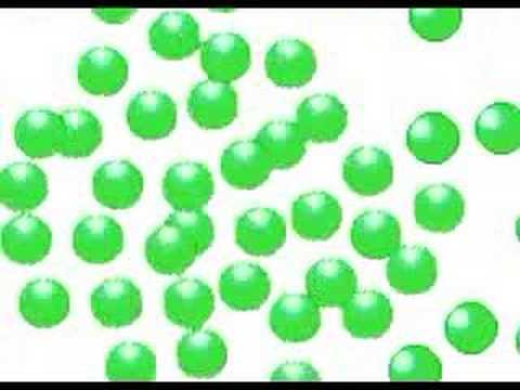 Nobody for President