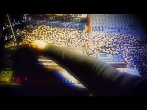 ⚡ "Acid birdz" (TR-808, TB-303, Yamaha MU5, acid)