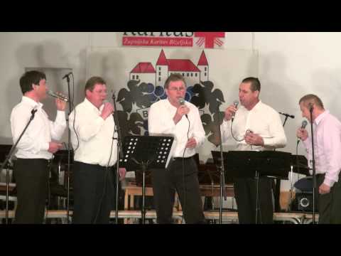 Kvartet Plus-Daleko su moji škoji (v živo)