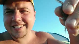 Как ловят креветок в железном порту
