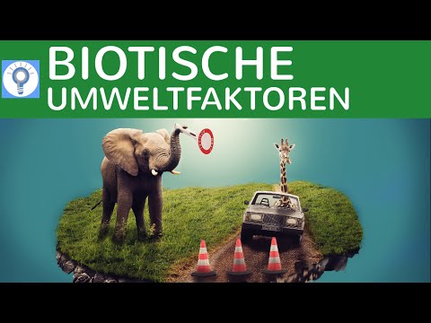 Biotische Umweltfaktoren - Begriff & Konkurrenz & Interspezifische / Intraspezifische Beziehungen