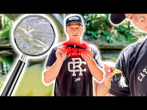 The TOP 3 surface lures for big perch!