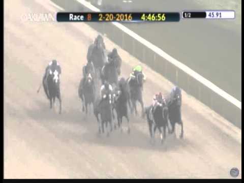 Thirteen Arrows - 2016 Spring Fever Stakes - Second Place Finish