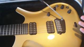 Video thumbnail for 6 Things You Didn't Know About The Parker Fly Guitar by Phillip McKnight