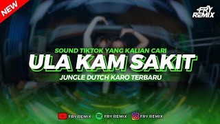 Download lagu DJ ULA KAM SAKIT - JUNGLE DUTCH KARO VIRAL TERBARU || FRY REMIX mp3
