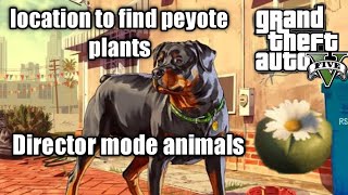 GTA 5 [PC/PS/XBOX]- director mode- to unlock animals.