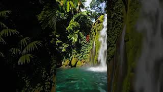 Conexão com Espíritos Guias | Meditação Xamânica | Sons Relaxantes de Flauta