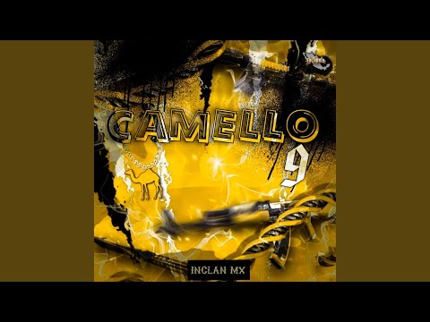 Camello 9