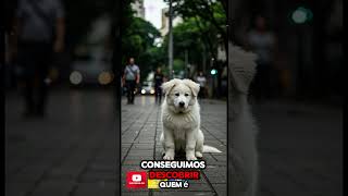 O Poderoso Chefinho #shorts