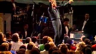 Raphael, Ámame, Festival de Viña 1987