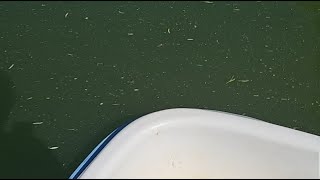 Can We Land a Big Bass? Come watch