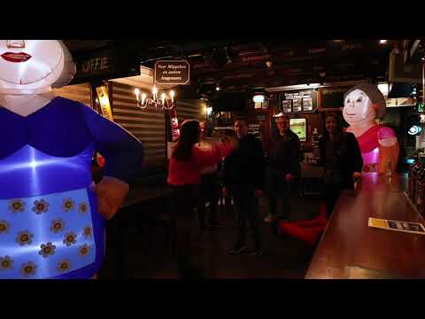 Indoor Sarah Rollator 