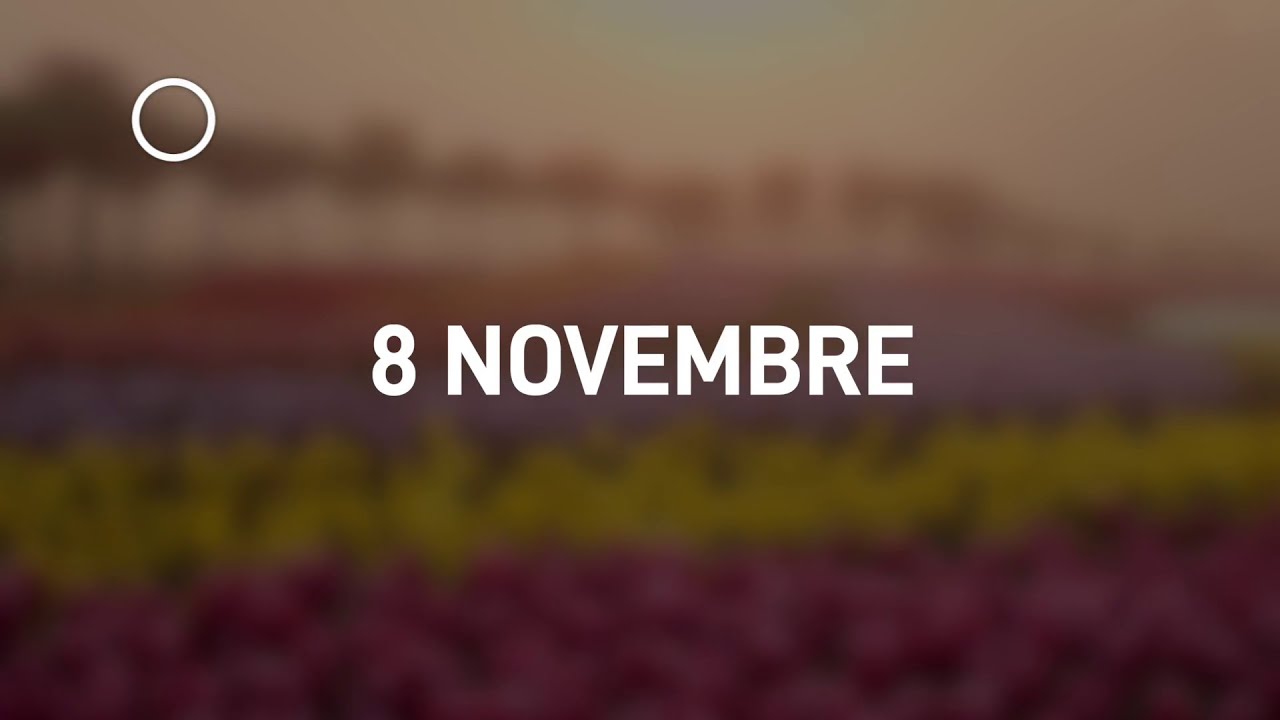 08 Novembre 2024 | Meditazione Parole di Vita