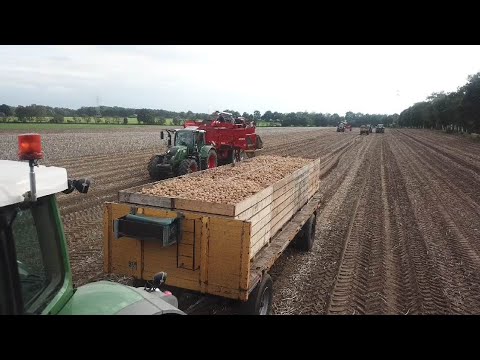 NEW GRIMME EVO 290|GRIMME SE 85-55|DOPPELPACK|NiedersachsensAgarFilmer