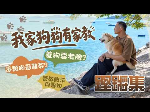 鏗鏘集：我家狗狗有家教｜養狗，不只是愛牠這麼簡單！？
