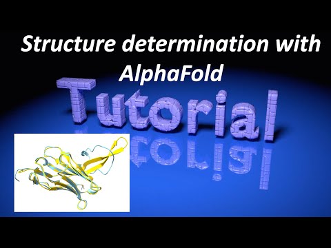 Structure determination with AlphaFold in Phenix