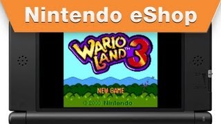 Wario Land 3 3