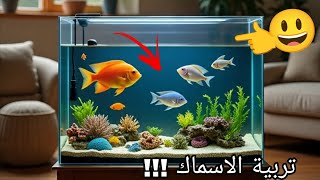 محاكي تربية الاسماك 🐟!! | Aquarium simulator