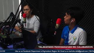 Episode 19 with Virgie Tangonan