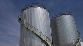 Dentro alla ex centrale nucleare di Trino Vercellese: ecco cosa è rimasto