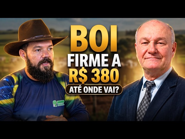 Boi firme a R$380; recorde histórico do frango e carne suína no topo do mundo com Vlamir Brandalizze