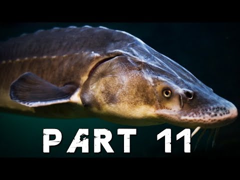 FAR CRY 5 Walkthrough Gameplay Part 11 - THE ADMIRAL FISH (PS4 Pro)