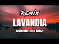 Marshmello × Arash - LAVANDIA (Benzene Remix)